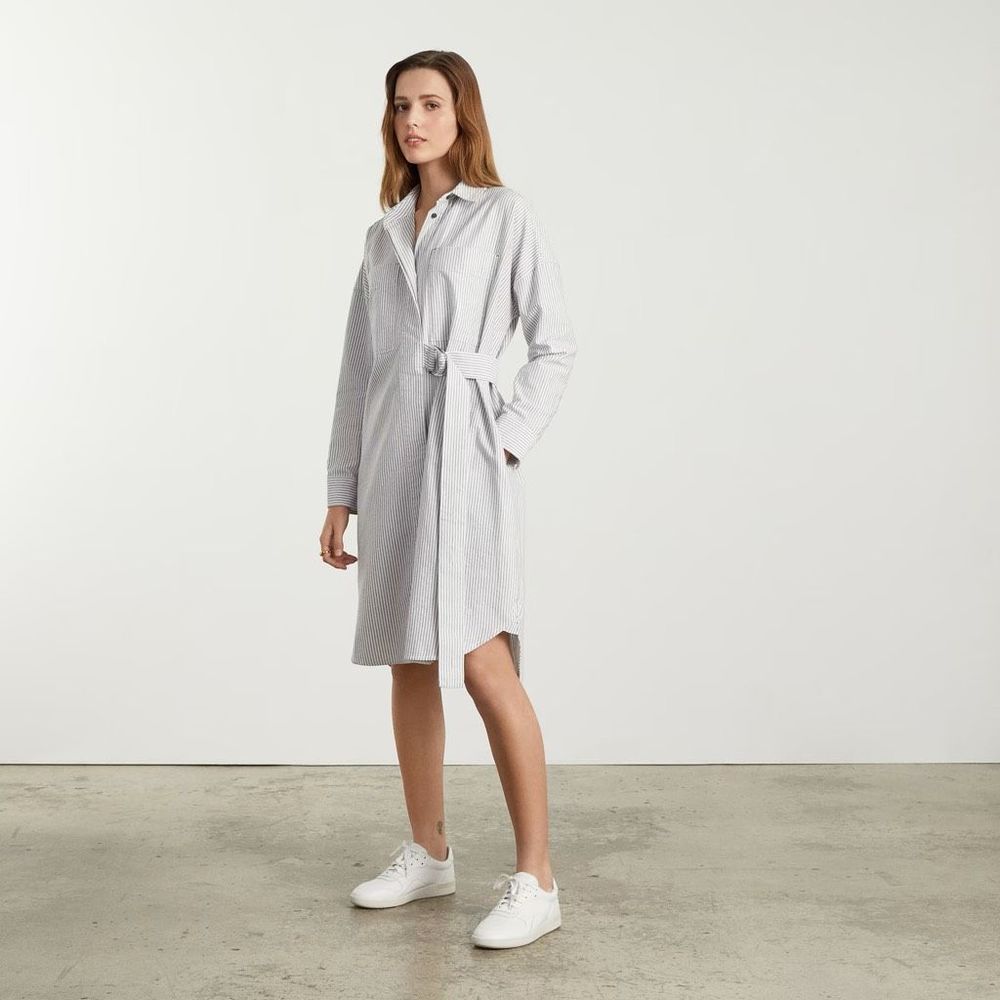 Everlane The Oxford Shirtdress Size XXS